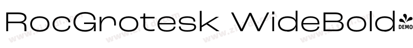 RocGrotesk WideBold字体转换